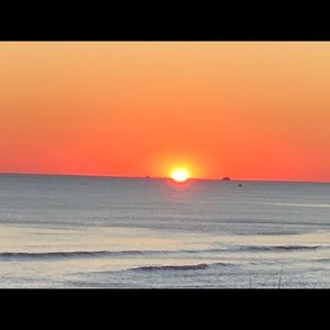 Meet your Posher, Joelle